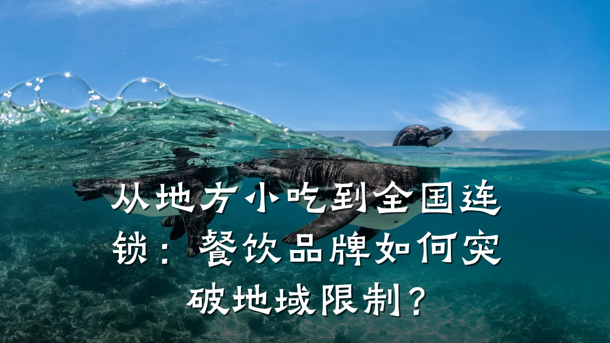 从地方小吃到全国连锁:餐饮品牌如何突破地域限制?
