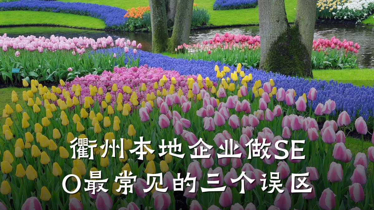 衢州本地企业做SEO最常见的三个误区