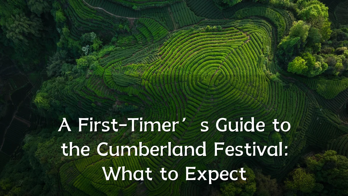 A First-Timer’s Guide to the Cumberland Festival: What to Expect
