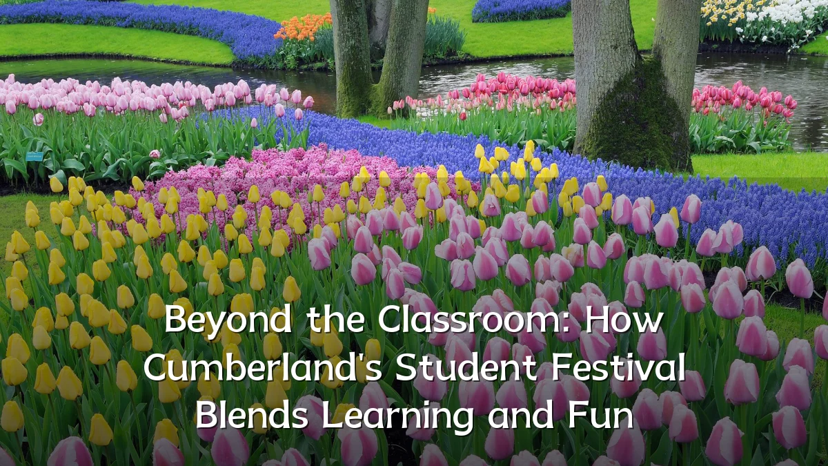 Beyond the Classroom: How Cumberland's Student Festival Blends Learning and Fun
