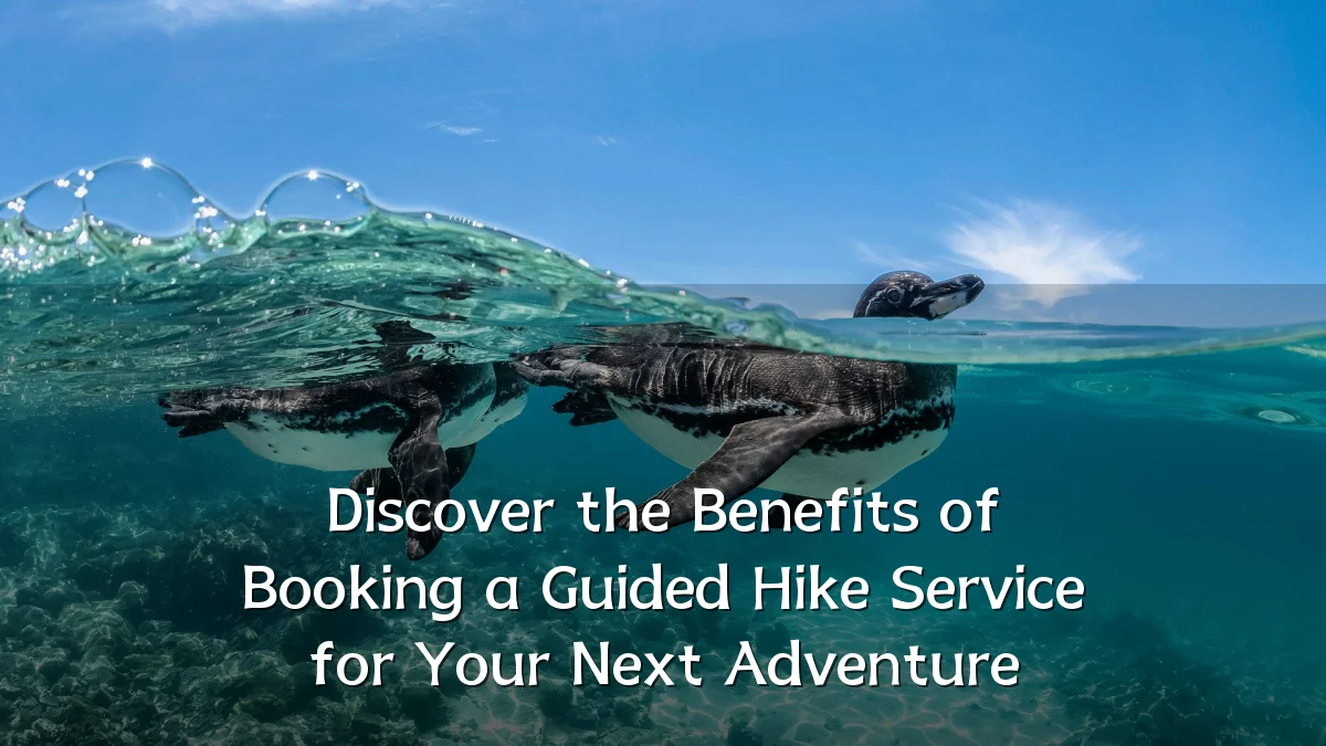 Discover the Benefits of Booking a Guided Hike Service for Your Next Adventure