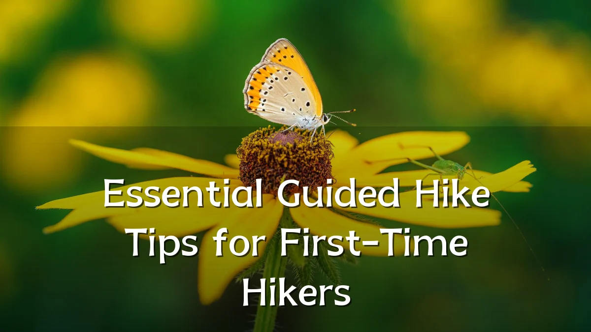 Essential Guided Hike Tips for First-Time Hikers