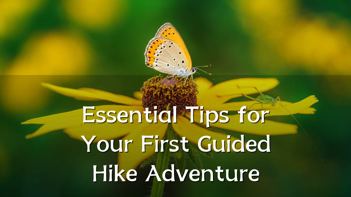 Essential Tips for Your First Guided Hike Adventure