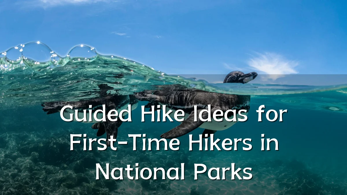 Guided Hike Ideas for First-Time Hikers in National Parks