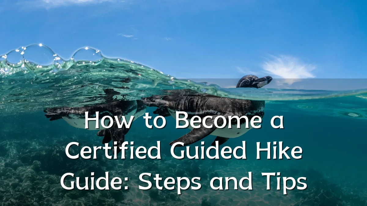 How to Become a Certified Guided Hike Guide: Steps and Tips