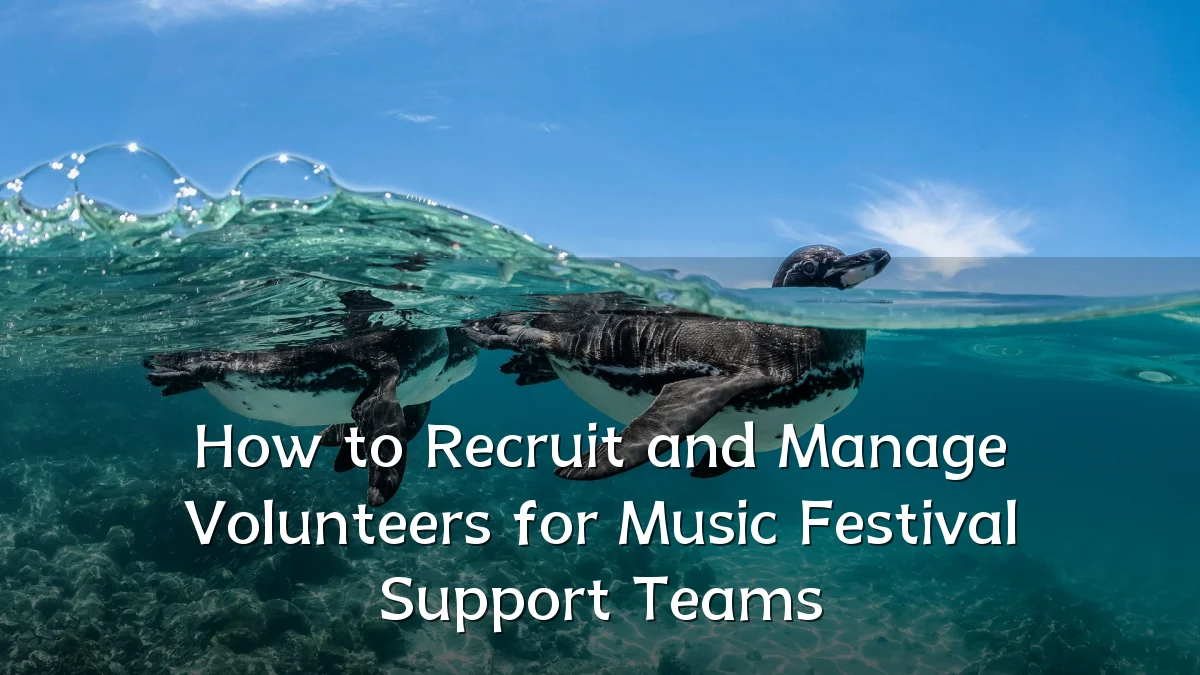 How to Recruit and Manage Volunteers for Music Festival Support Teams