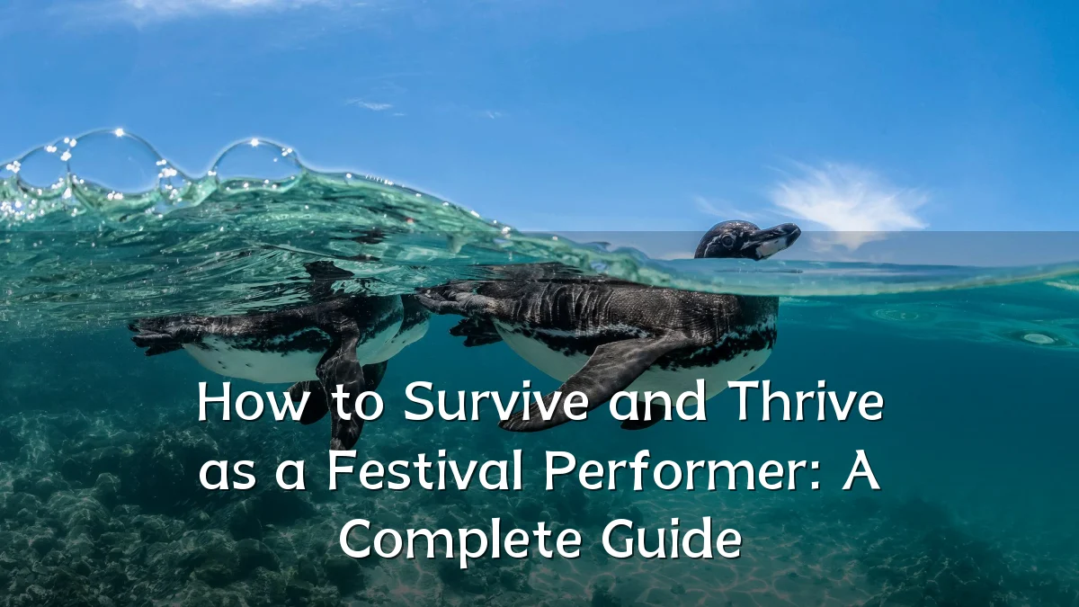 How to Survive and Thrive as a Festival Performer: A Complete Guide