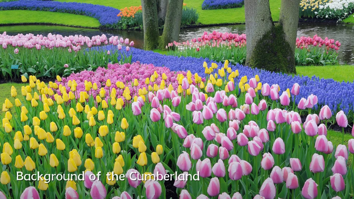 Background of the Cumberland
