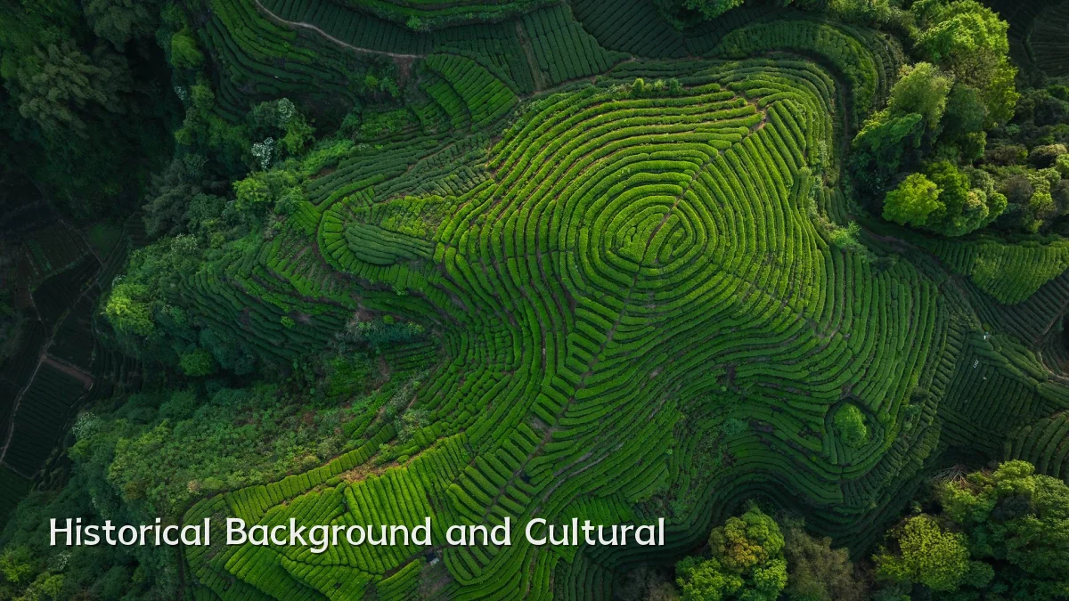 Historical Background and Cultural