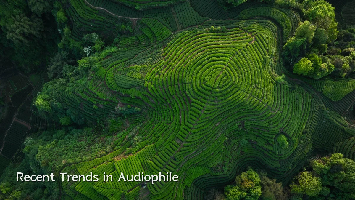 Recent Trends in Audiophile