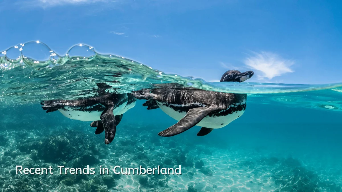 Recent Trends in Cumberland