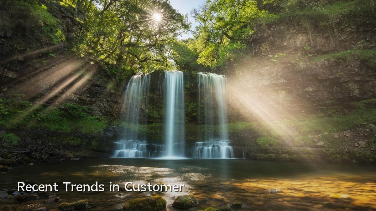 Recent Trends in Customer