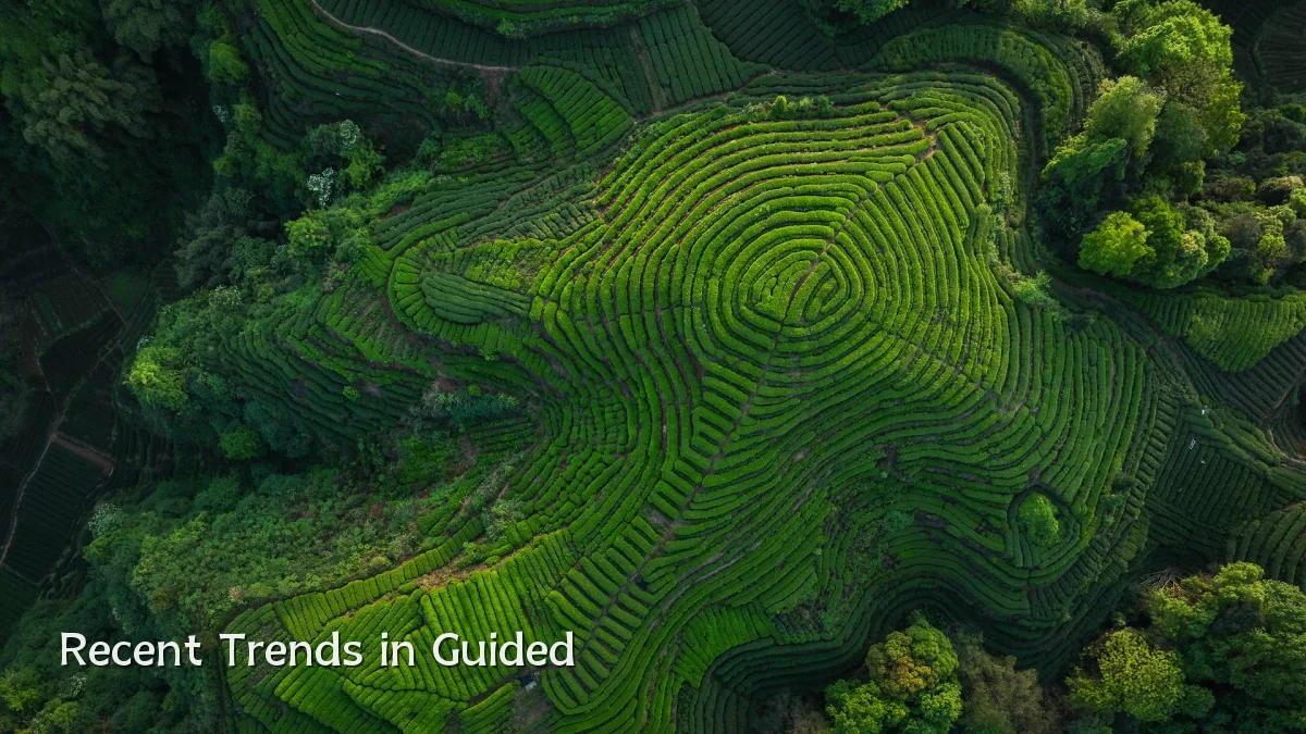 Recent Trends in Guided