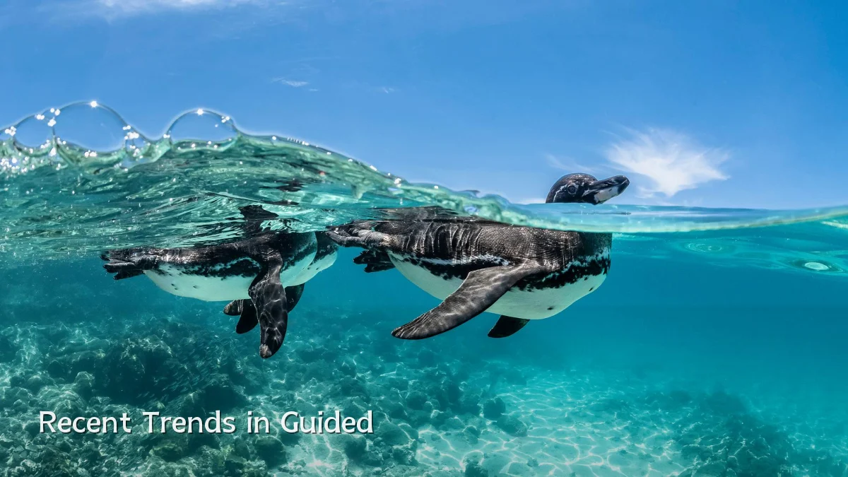 Recent Trends in Guided
