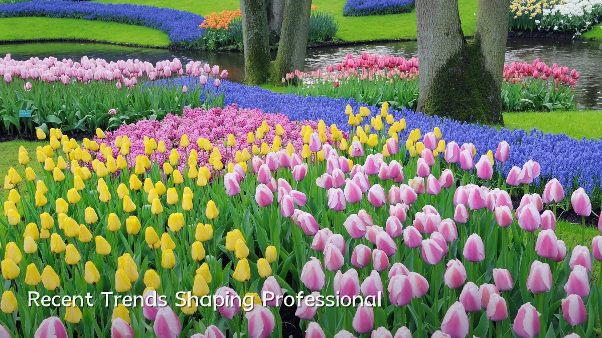 Recent Trends Shaping Professional
