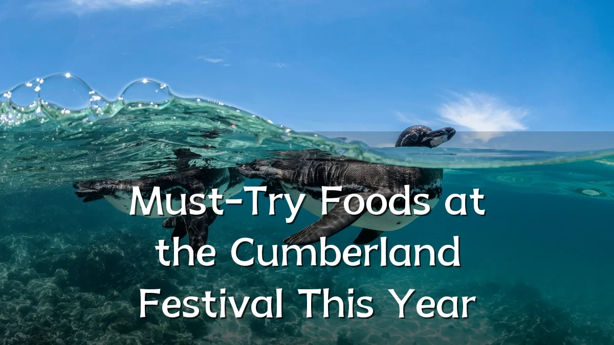 Must-Try Foods at the Cumberland Festival This Year