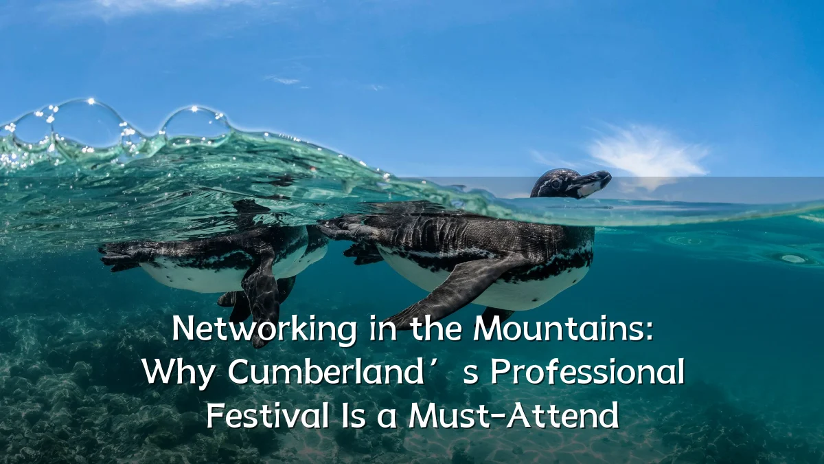 Networking in the Mountains: Why Cumberland’s Professional Festival Is a Must-Attend