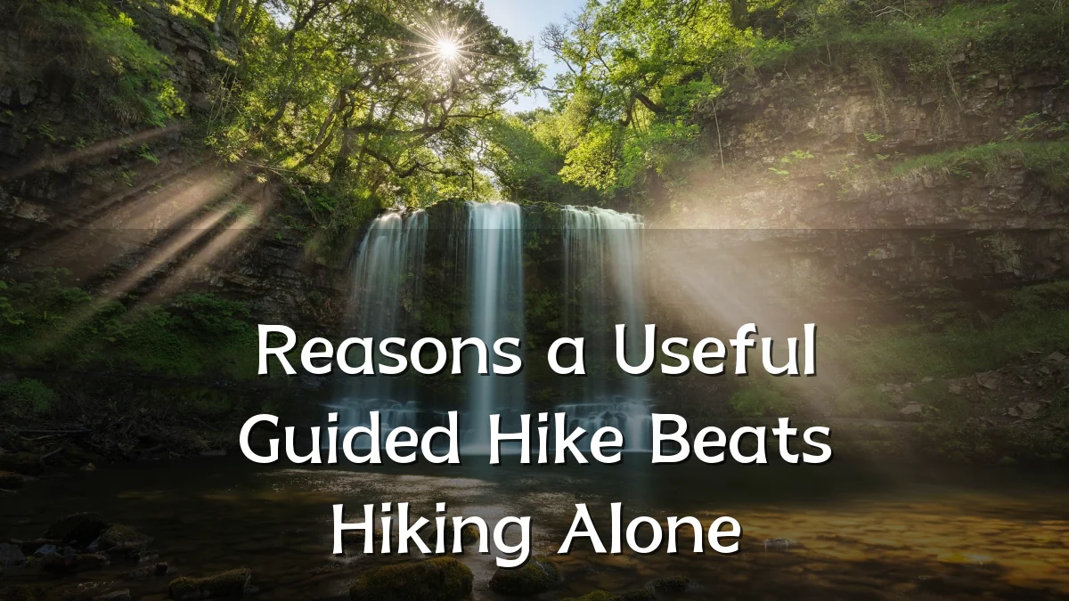 Reasons a Useful Guided Hike Beats Hiking Alone