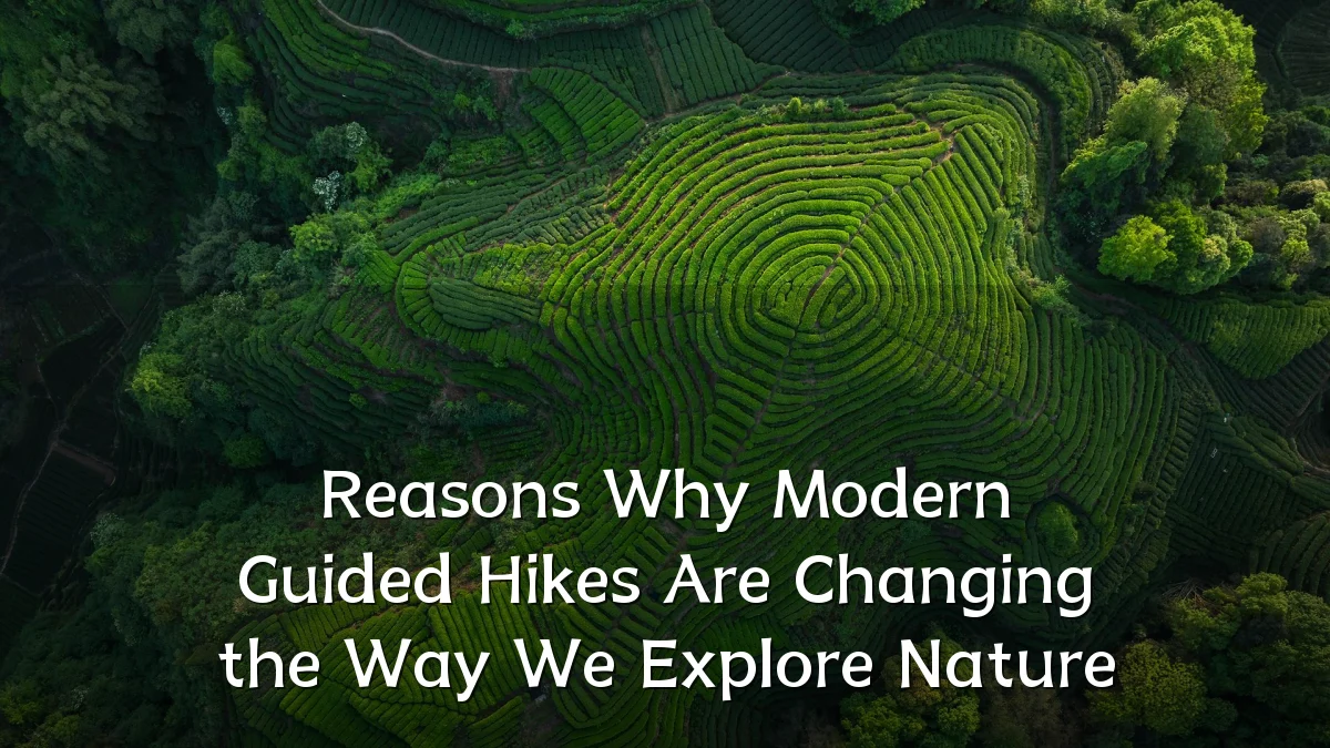 Reasons Why Modern Guided Hikes Are Changing the Way We Explore Nature