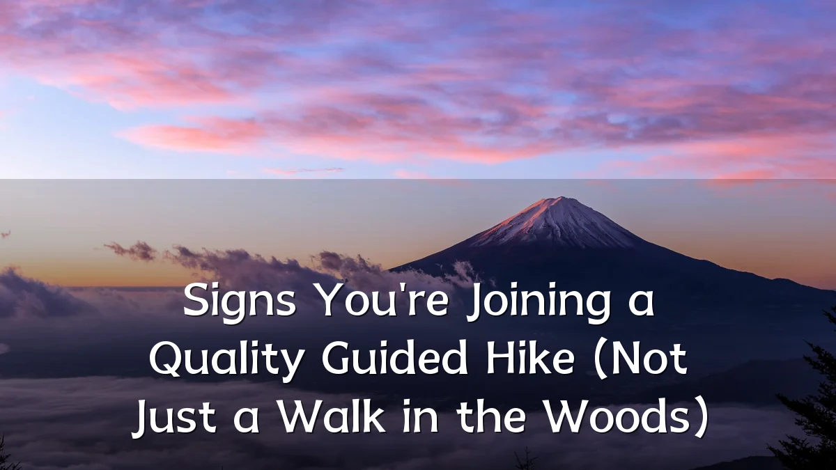 Signs You're Joining a Quality Guided Hike (Not Just a Walk in the Woods)