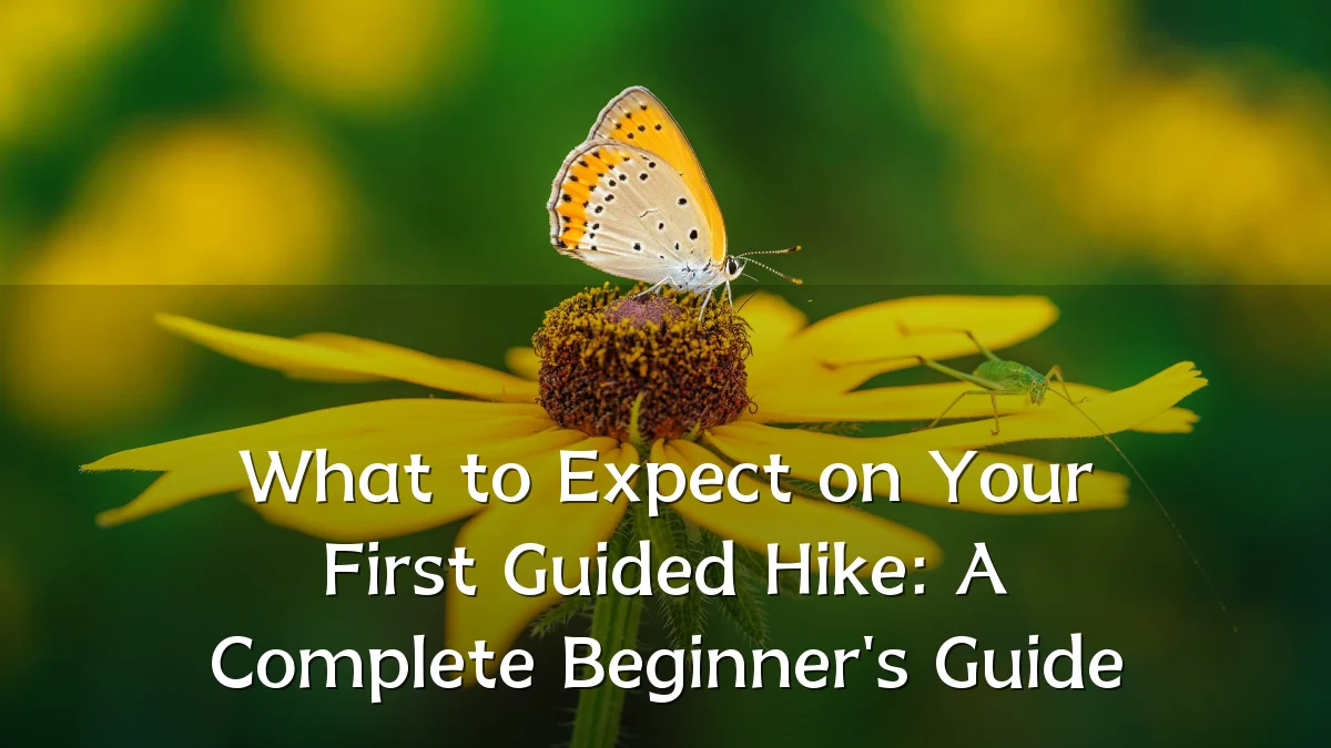 What to Expect on Your First Guided Hike: A Complete Beginner's Guide