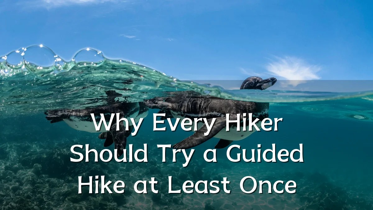 Why Every Hiker Should Try a Guided Hike at Least Once