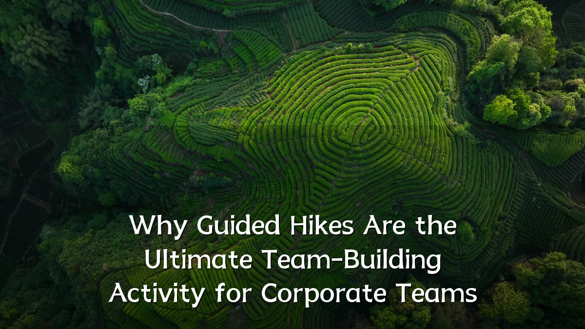 Why Guided Hikes Are the Ultimate Team-Building Activity for Corporate Teams