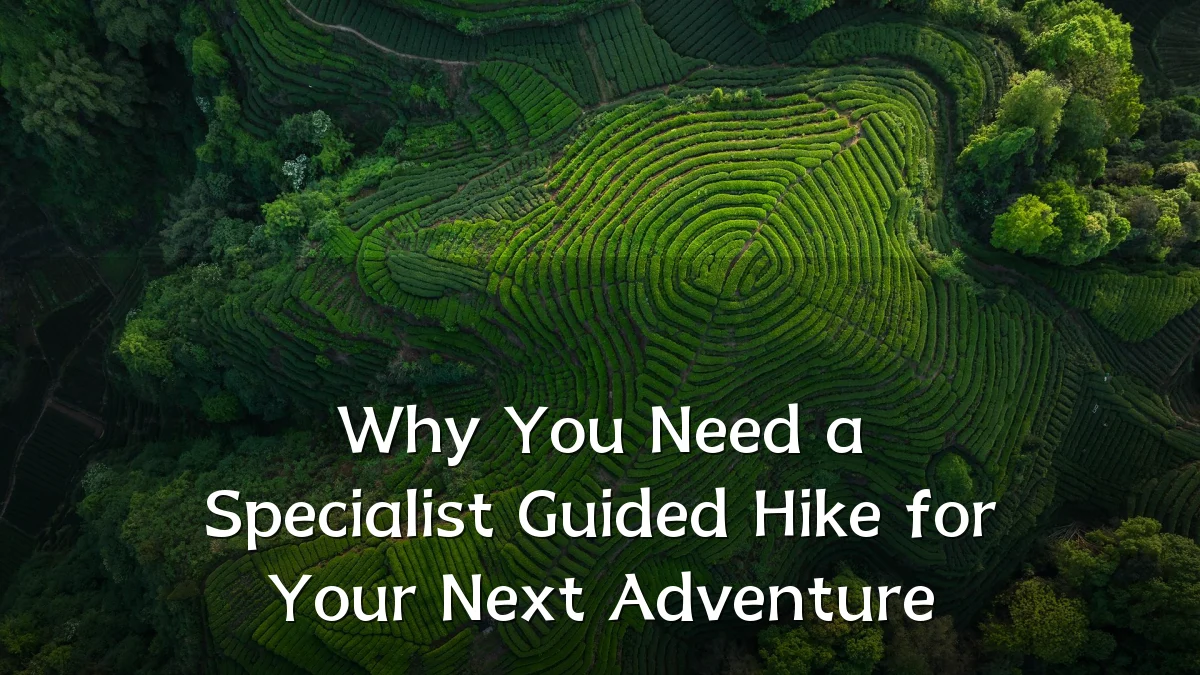 Why You Need a Specialist Guided Hike for Your Next Adventure