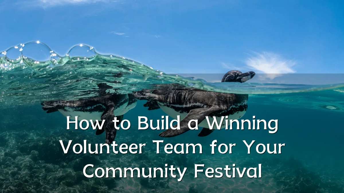 How to Build a Winning Volunteer Team for Your Community Festival