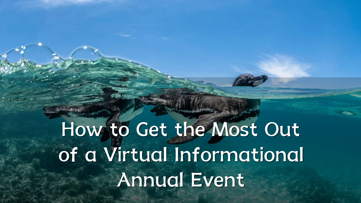 How to Get the Most Out of a Virtual Informational Annual Event