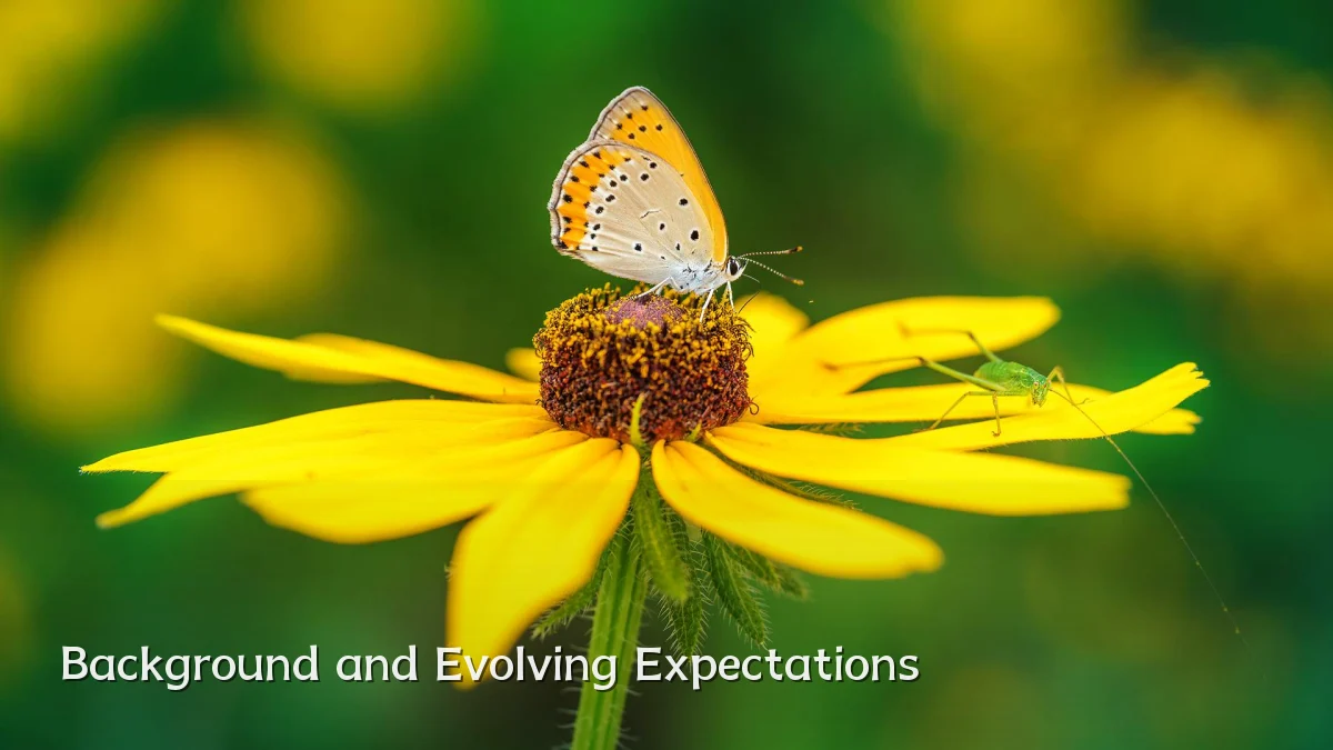 Background and Evolving Expectations
