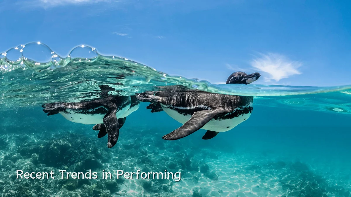 Recent Trends in Performing
