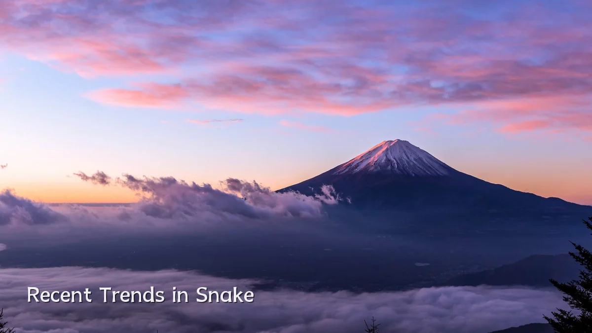 Recent Trends in Snake