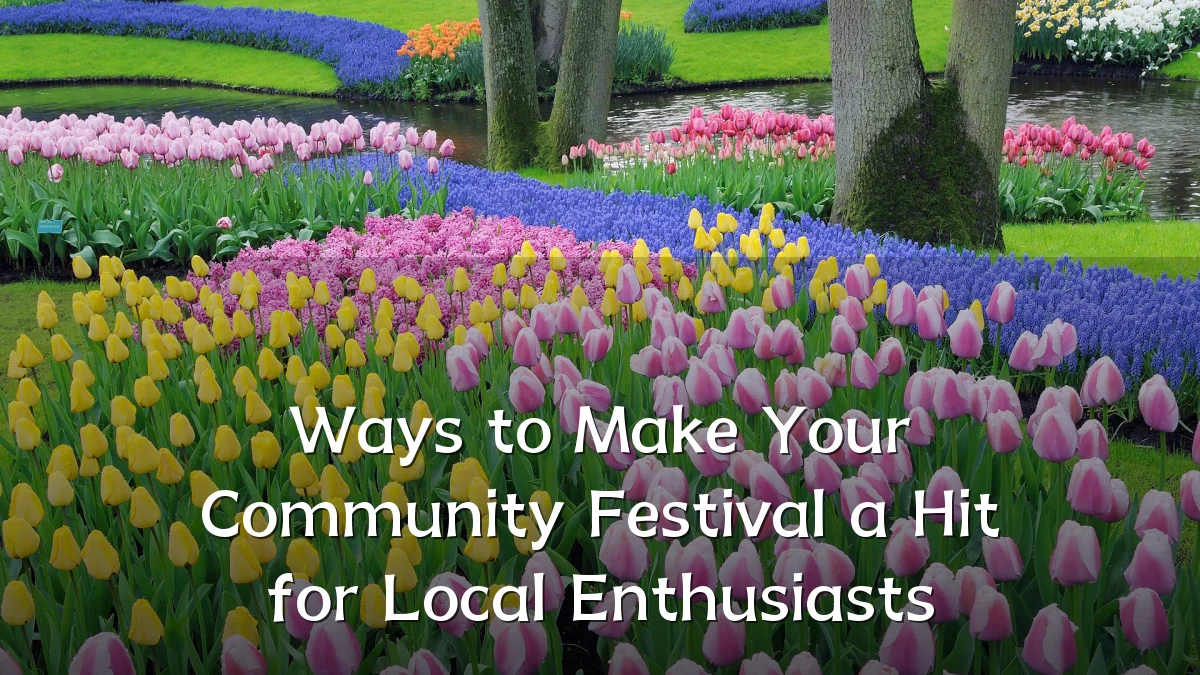 Ways to Make Your Community Festival a Hit for Local Enthusiasts