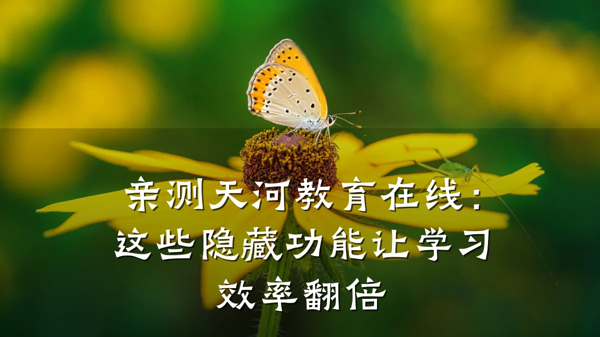 亲测天河教育在线：这些隐藏功能让学习效率翻倍