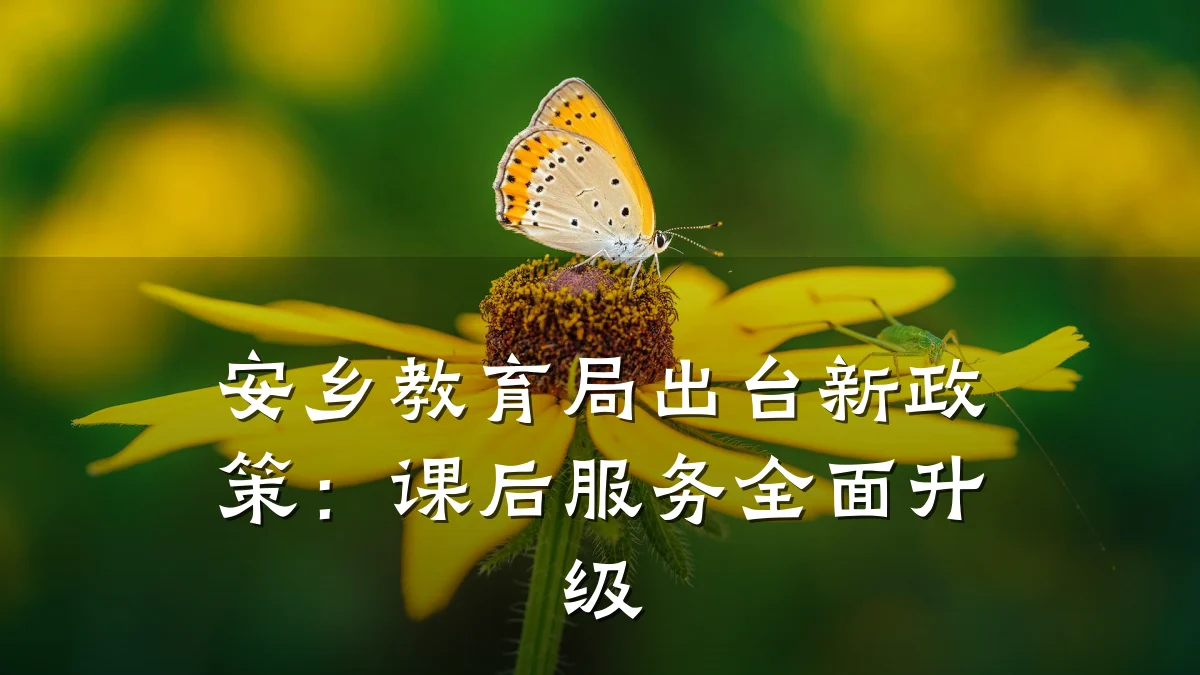 安乡教育局出台新政策：课后服务全面升级