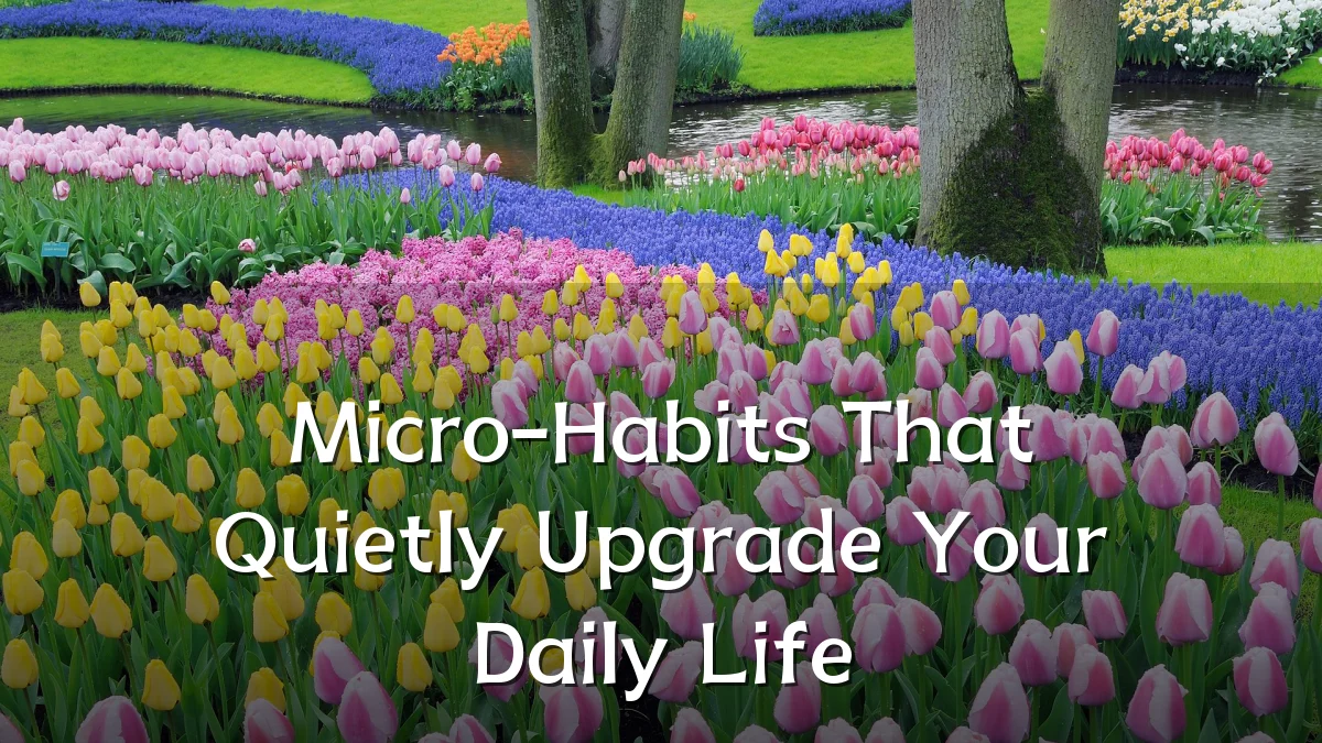 Micro-Habits That Quietly Upgrade Your Daily Life